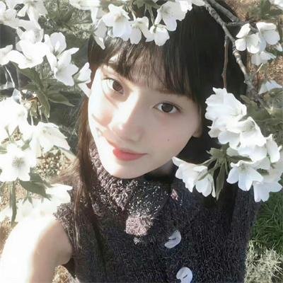 夏洛特时光